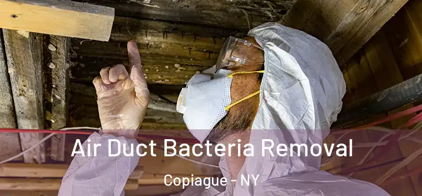  Air Duct Bacteria Removal Copiague - NY