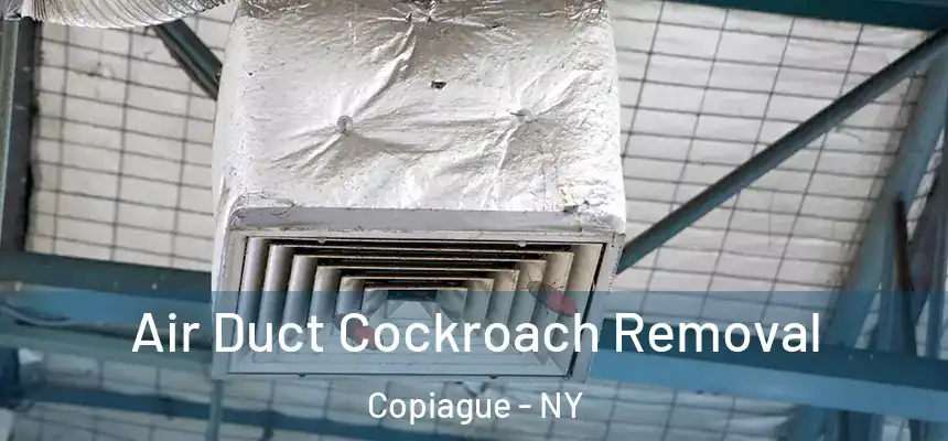 Air Duct Cockroach Removal Copiague - NY