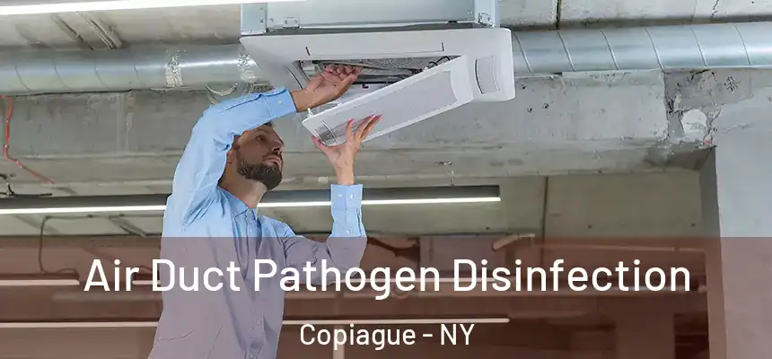  Air Duct Pathogen Disinfection Copiague - NY