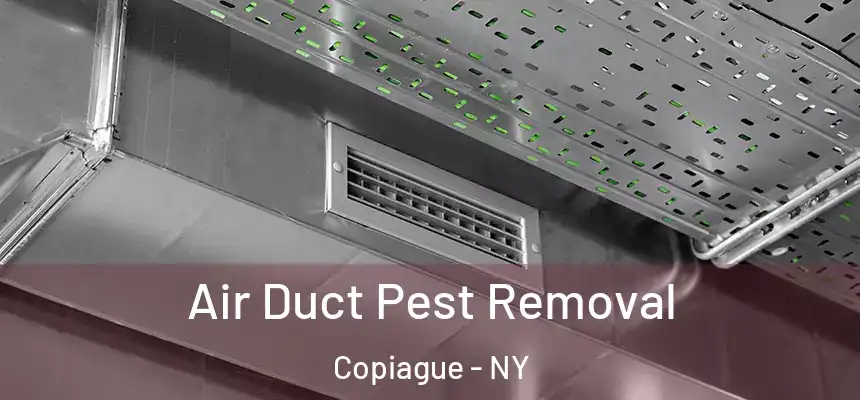  Air Duct Pest Removal Copiague - NY