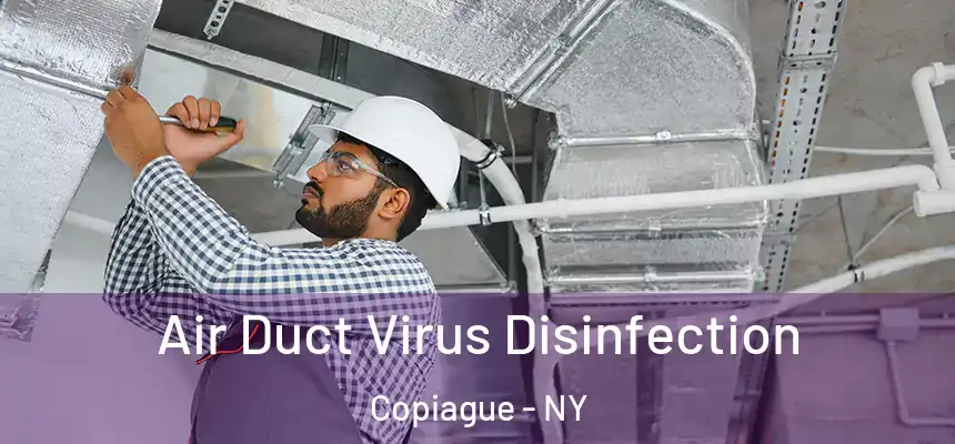  Air Duct Virus Disinfection Copiague - NY