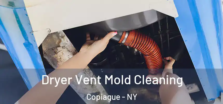 Dryer Vent Mold Cleaning Copiague - NY