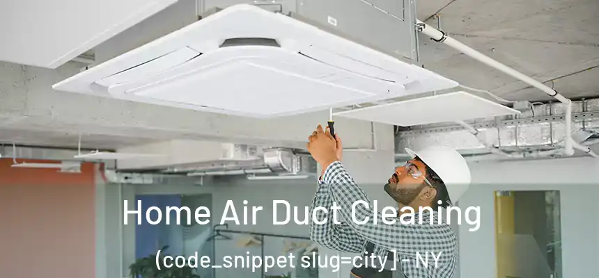  Home Air Duct Cleaning (code_snippet slug=city] - NY