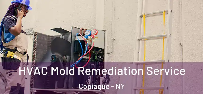 HVAC Mold Remediation Service Copiague - NY