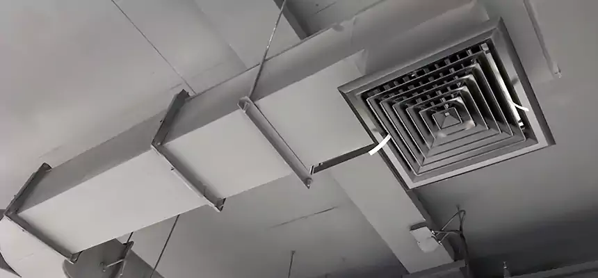 Restorative Allergy Relief Vent Cleaning – Coil, Blower & Housing Detail in Copiague