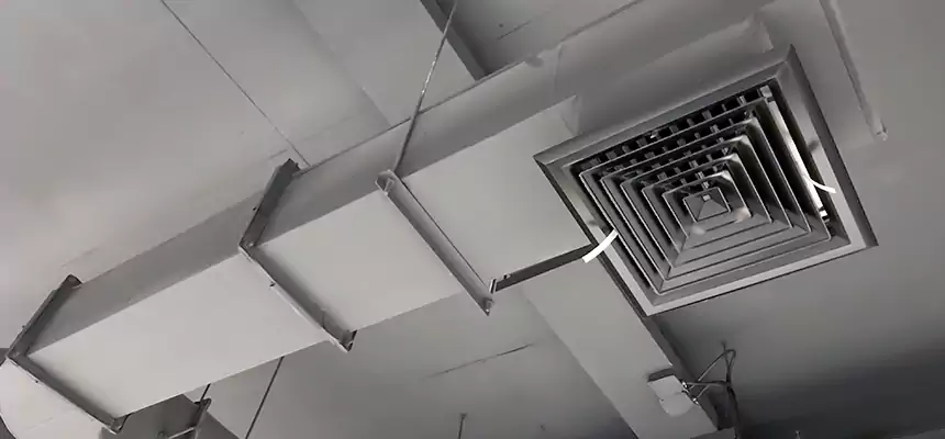 Our Pest Removal From Ducts Services in Copiague, NY