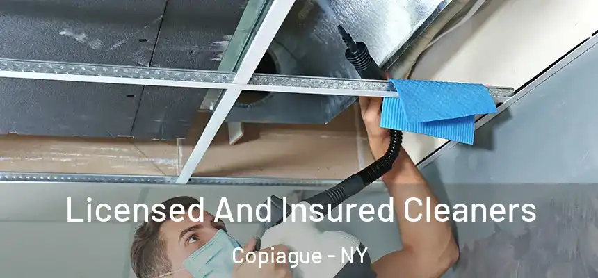 Licensed And Insured Cleaners Copiague - NY