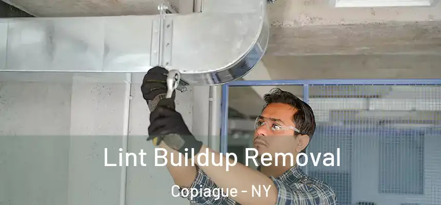  Lint Buildup Removal Copiague - NY
