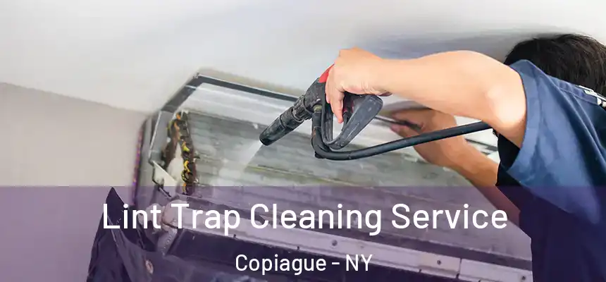  Lint Trap Cleaning Service Copiague - NY