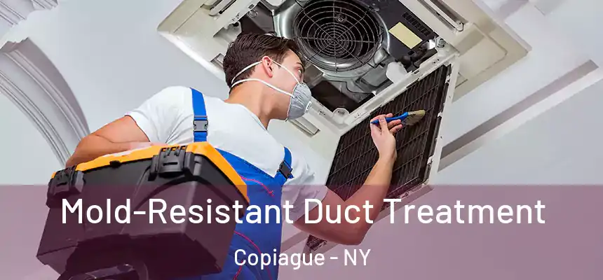  Mold-Resistant Duct Treatment Copiague - NY