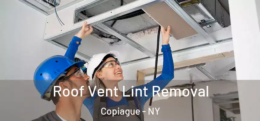 Roof Vent Lint Removal Copiague - NY