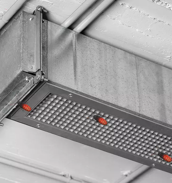 About Air Duct Cockroach Removal in Copiague, NY