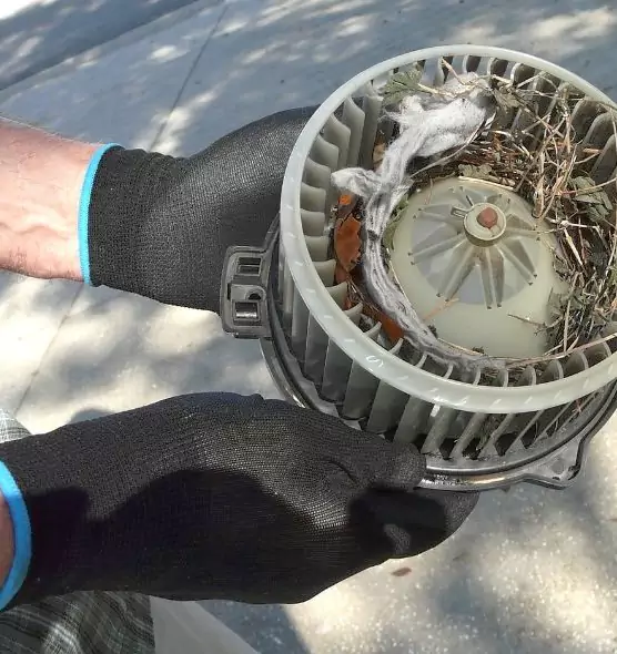 About Air Duct Rat Removal in Copiague, NY