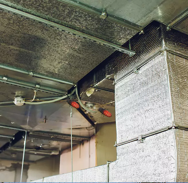 Why Homeowners & Businesses Trust Us in Copiague, NY?