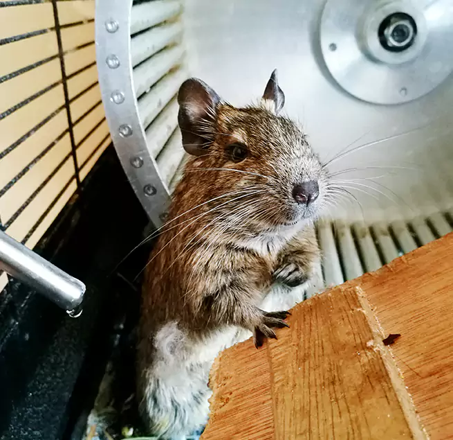 Why Homeowners & Businesses Trust Us Copiague, NY?