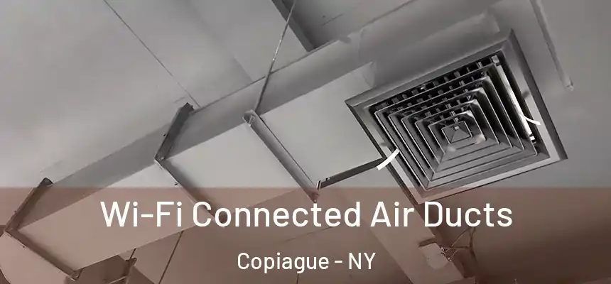  Wi-Fi Connected Air Ducts Copiague - NY